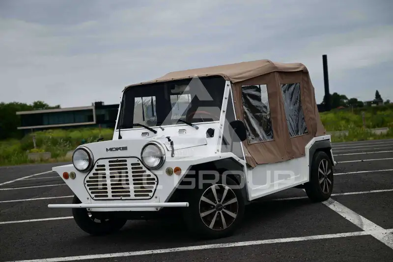 2016 Mini Unknown