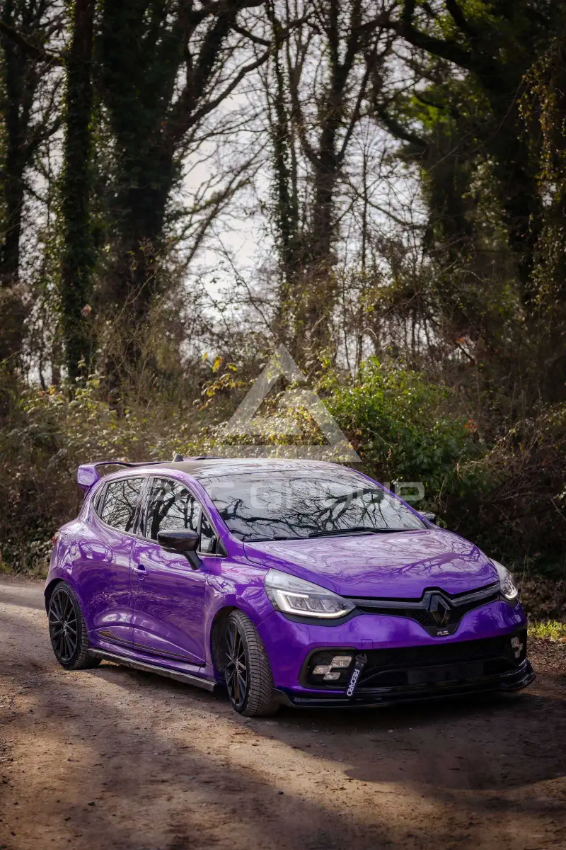 2016 Renault Clio
