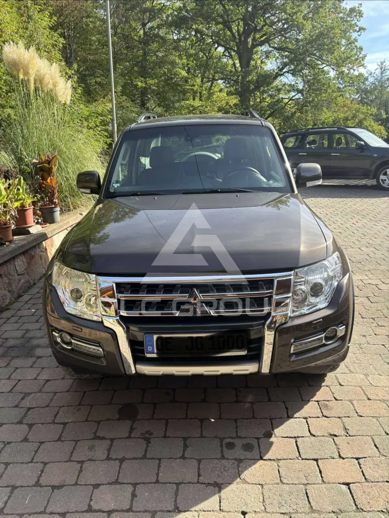2017 Mitsubishi PAJARO