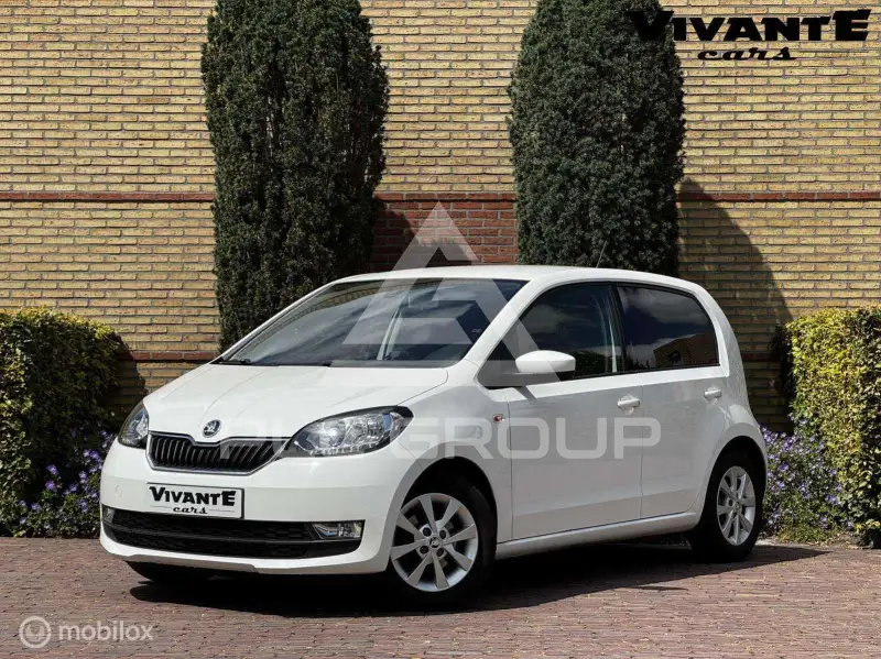 2017 Skoda Citigo