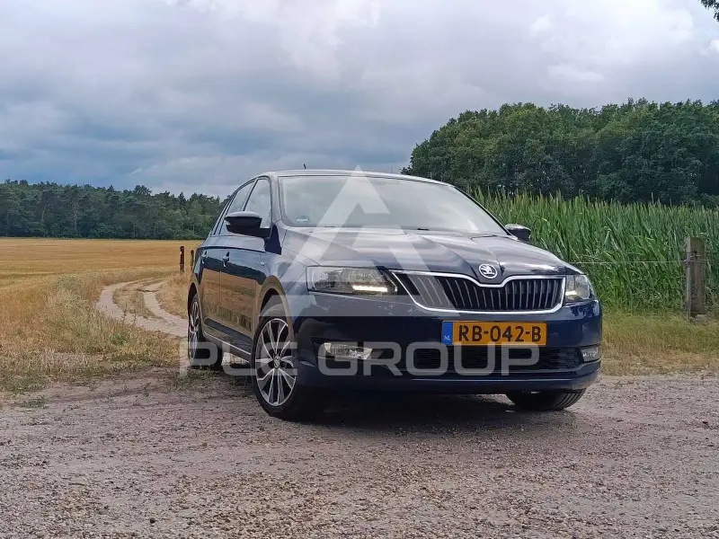 2017 Skoda Rapid