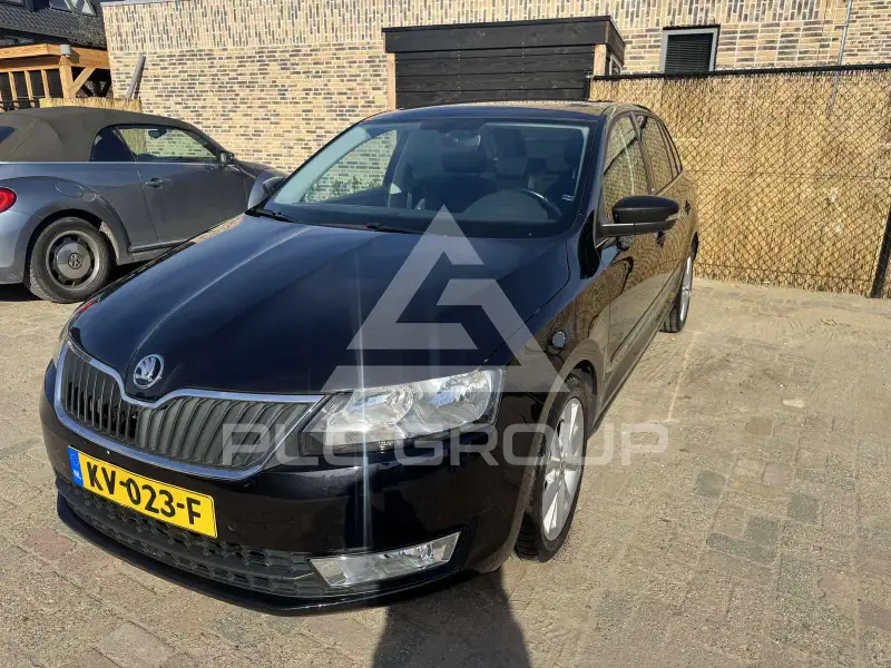 2017 Skoda Rapid