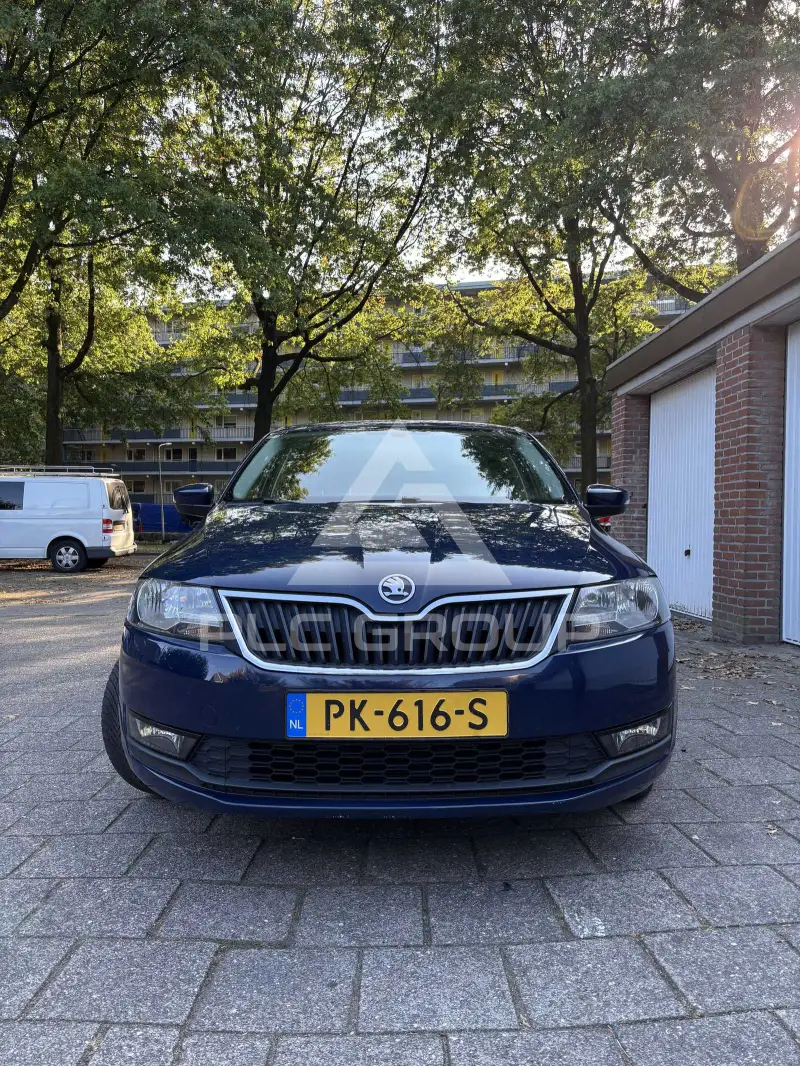 2017 Skoda Rapid