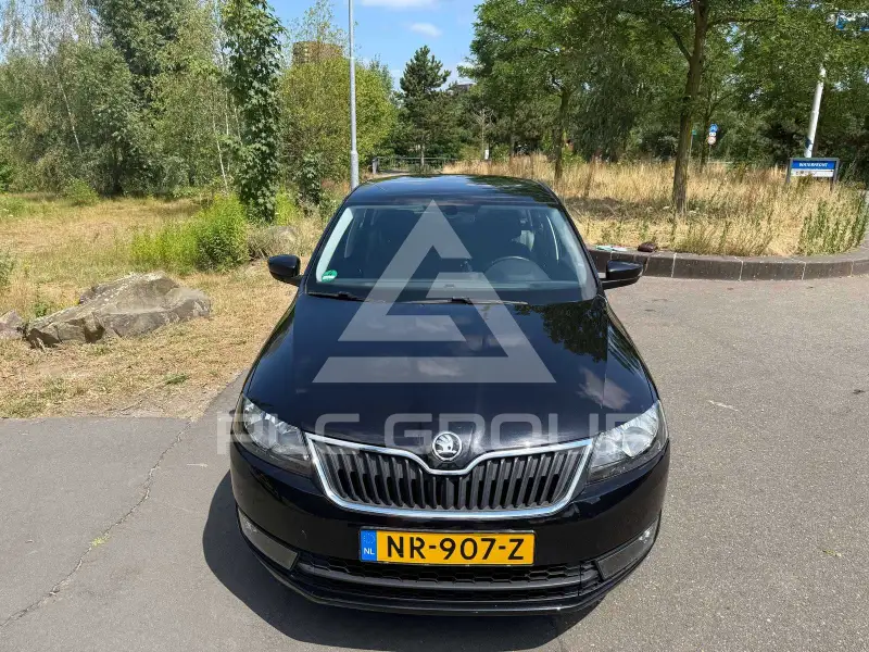 2017 Skoda Rapid