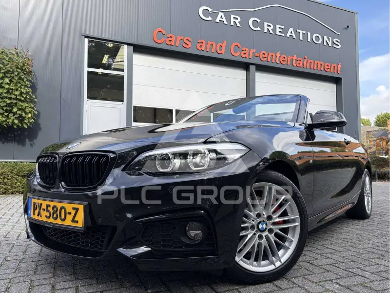 2017 BMW 220