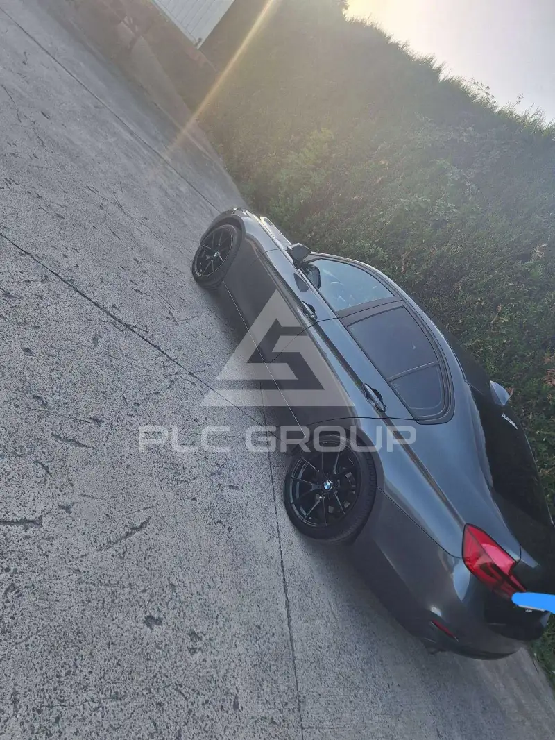 2017 BMW 316