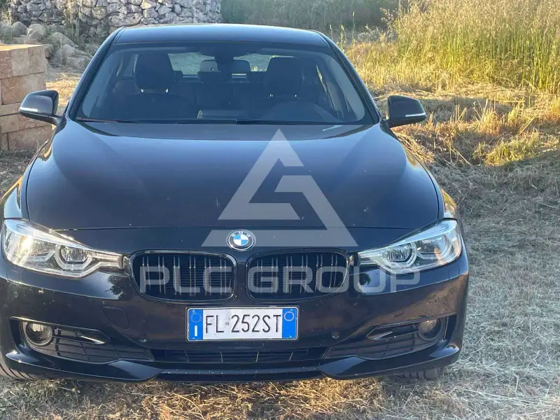 2017 BMW 316