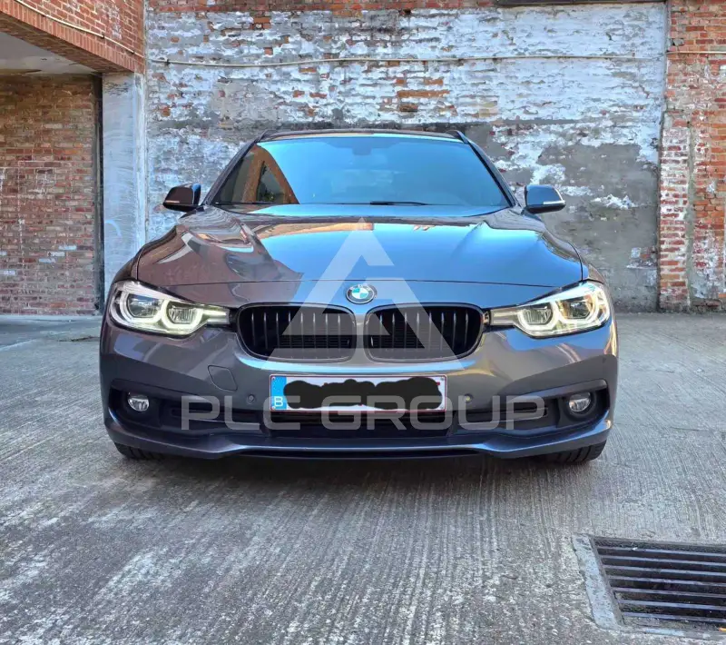 2017 BMW 316