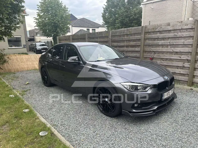2017 BMW 316