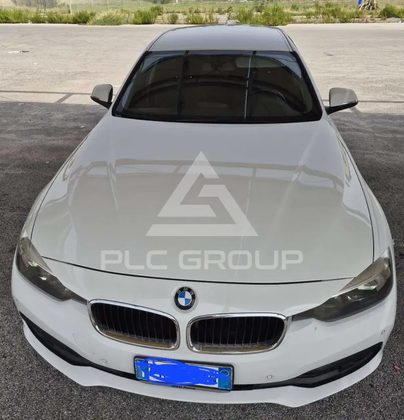 2017 BMW 316