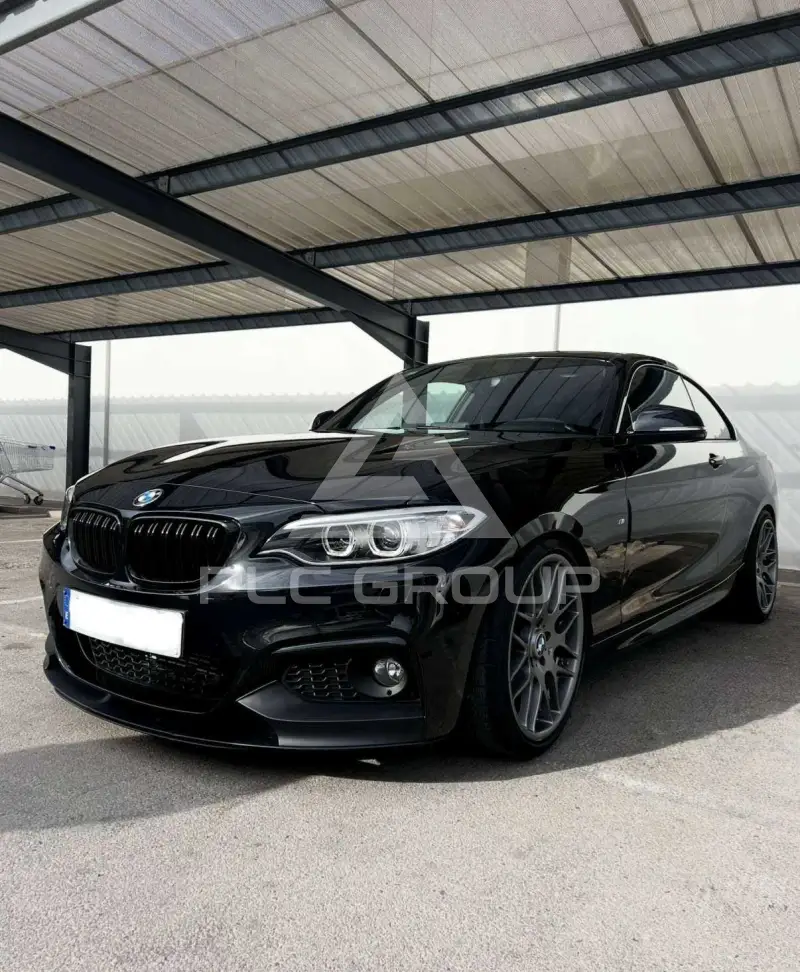 2017 BMW 218