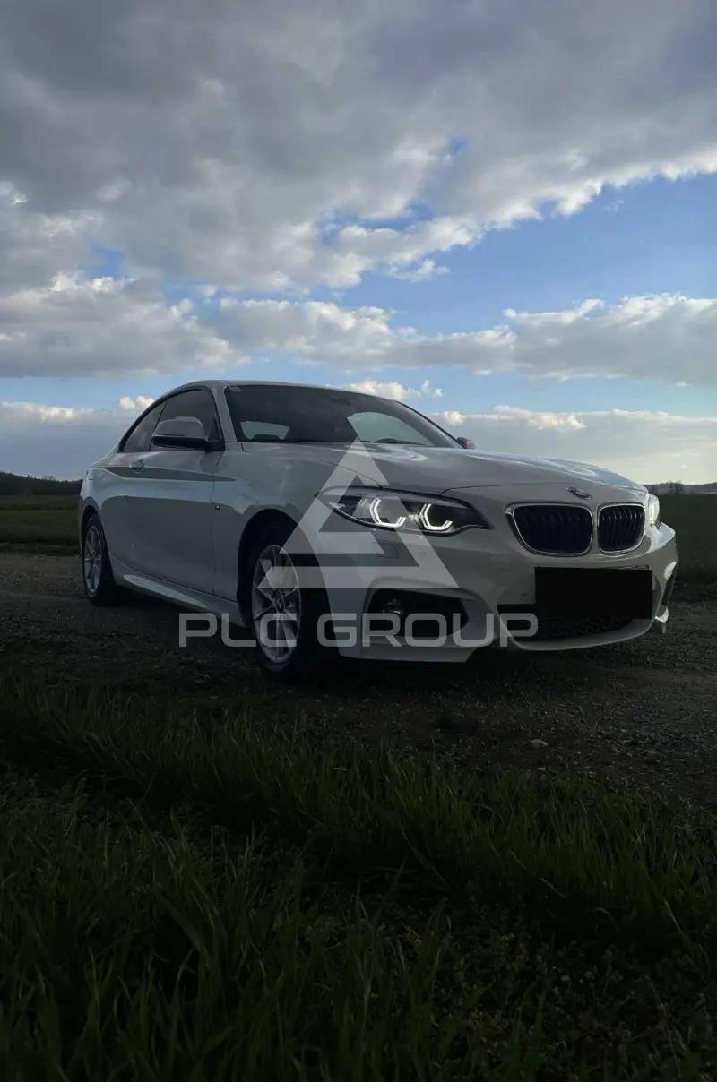 2017 BMW 218