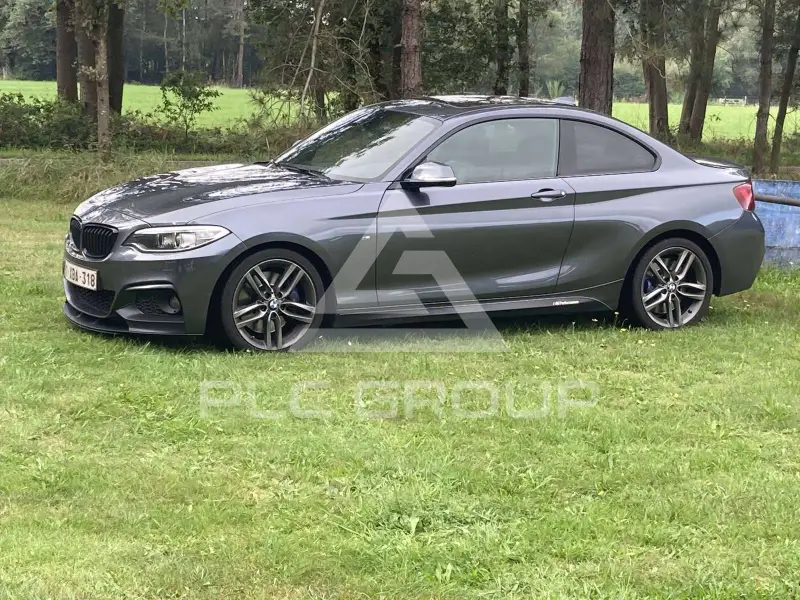 2017 BMW 218