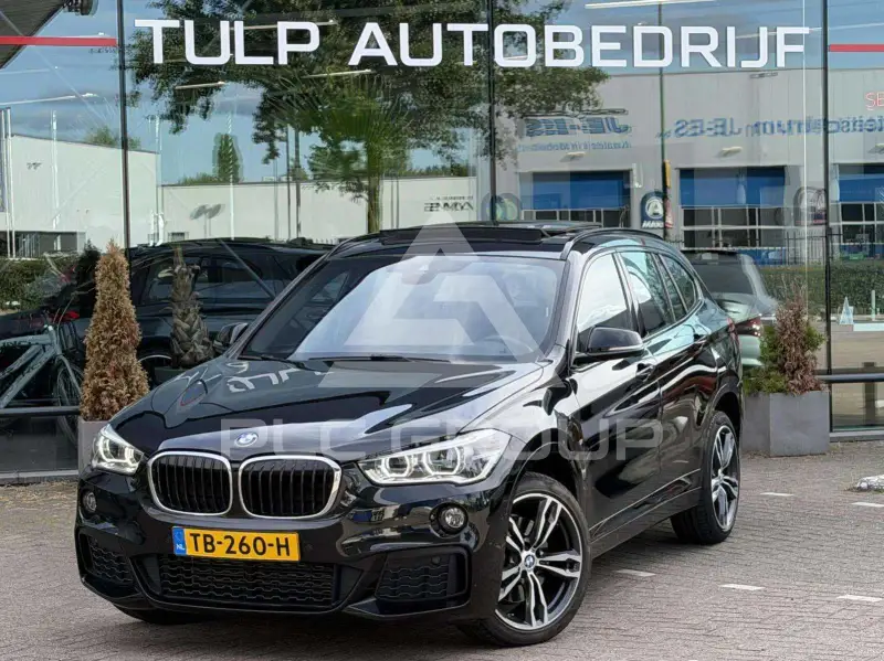 2017 BMW X1