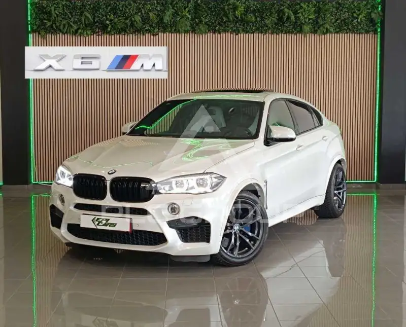 2017 BMW X6