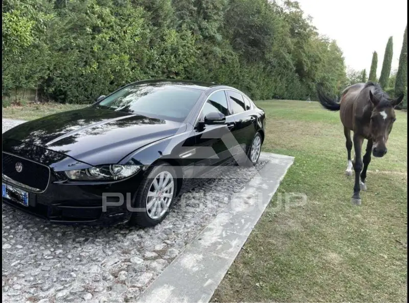 2017 Jaguar XE