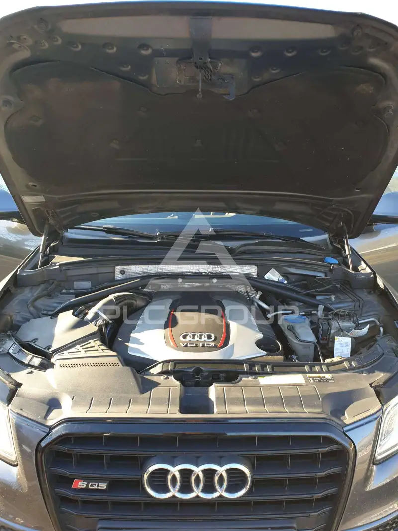 2017 Audi SQ5