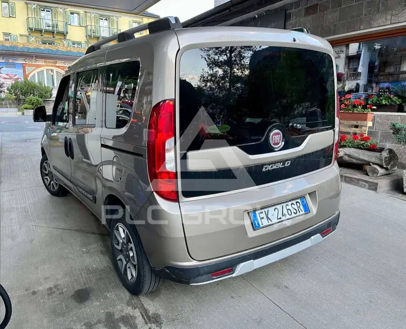 2017 Fiat Doblo