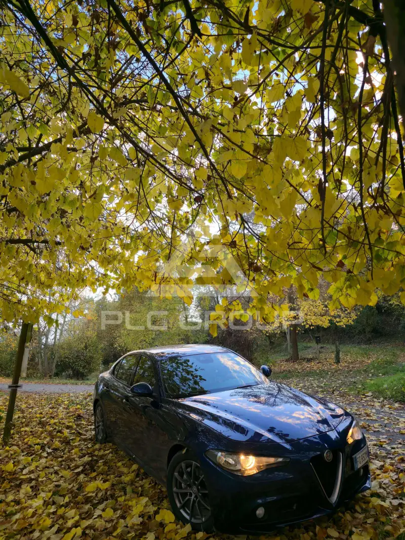 2017 Alfa Romeo Giulia