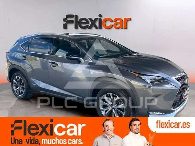 2017 Lexus NX300