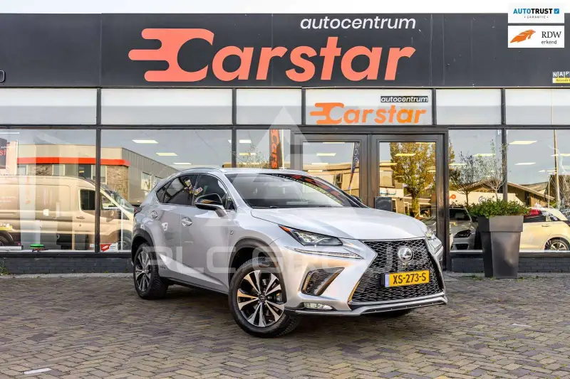 2017 Lexus NX300
