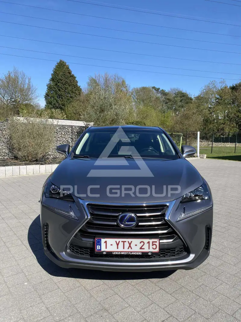 2017 Lexus NX300