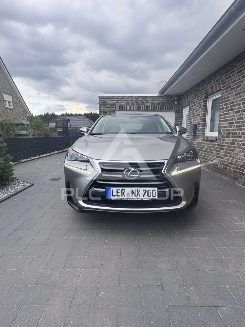 2017 Lexus NX300