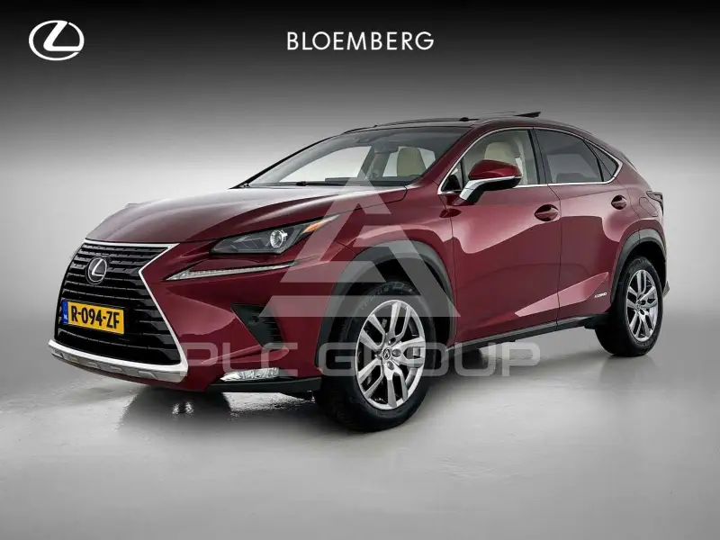 2017 Lexus NX300