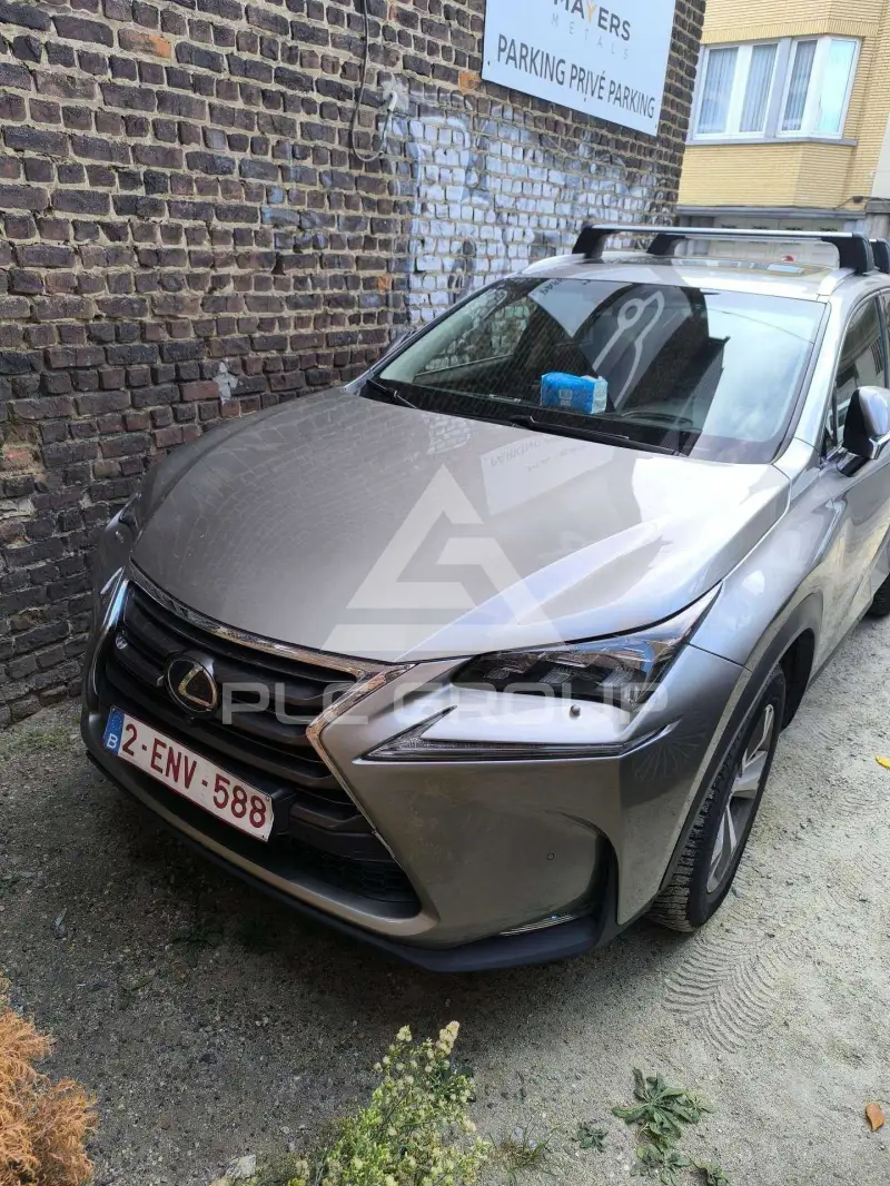 2017 Lexus NX300