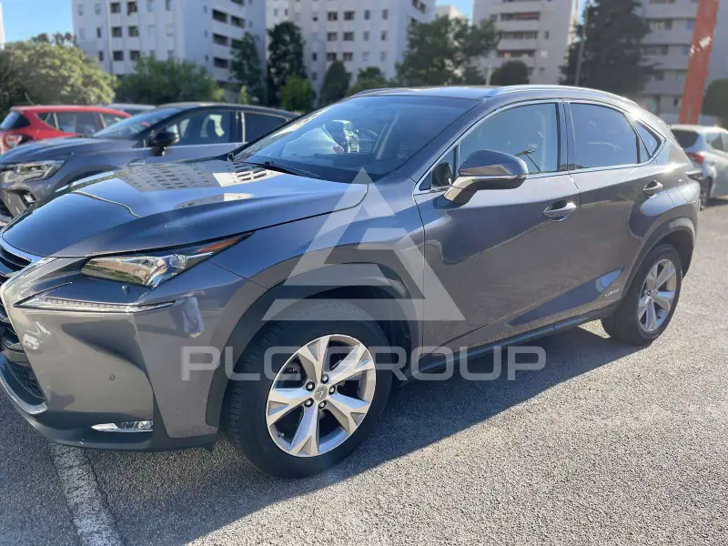 2017 Lexus NX300