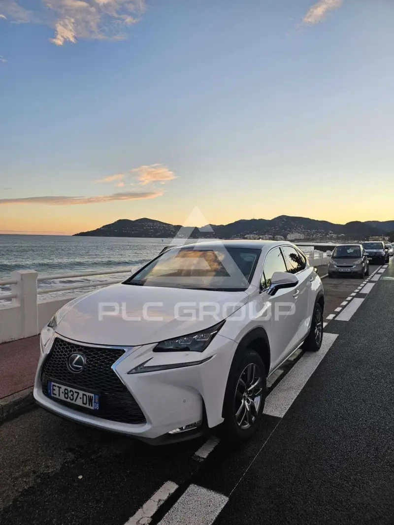 2017 Lexus NX300
