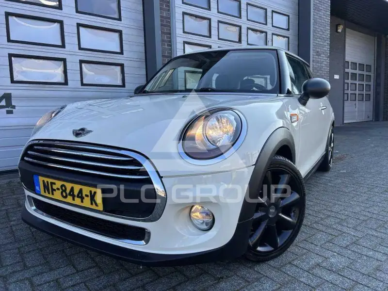 2017 Mini Unknown