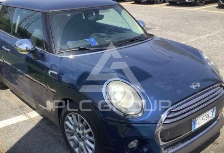 2017 Mini Unknown