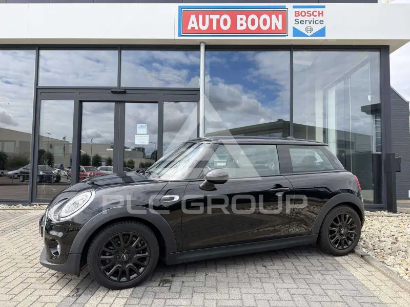 2017 Mini Unknown