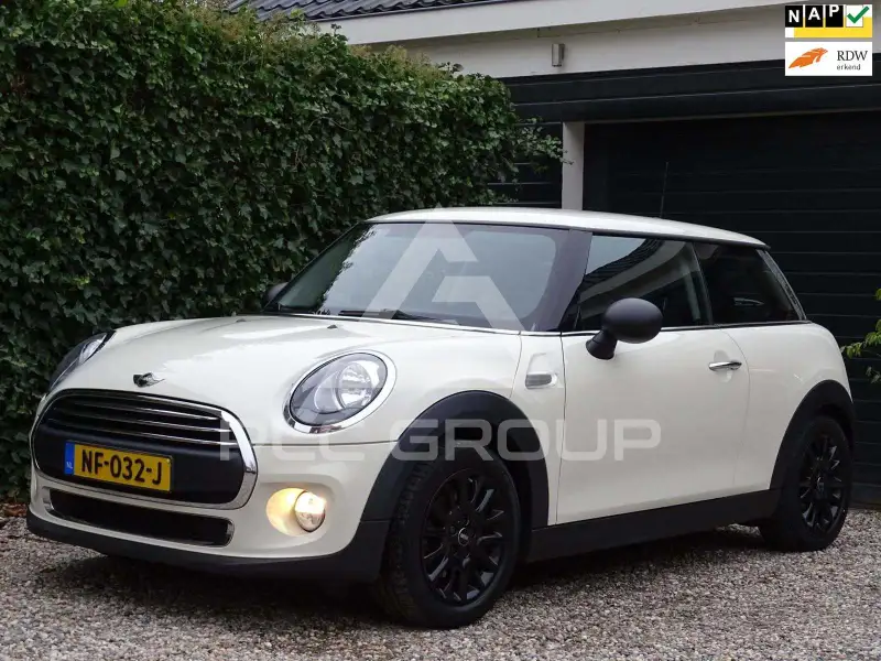 2017 Mini Unknown