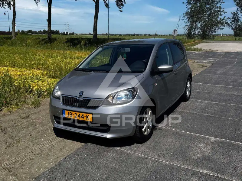 2018 Skoda Citigo