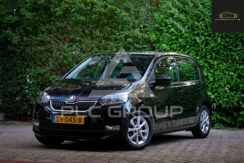 2018 Skoda Citigo
