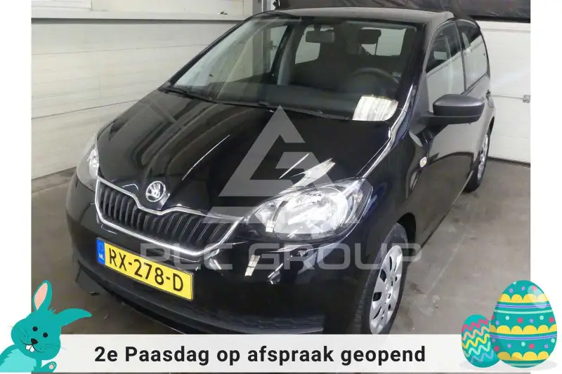 2018 Skoda Citigo