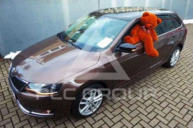 2018 Skoda Rapid