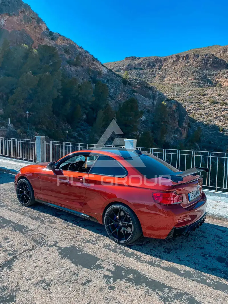 2018 BMW 230