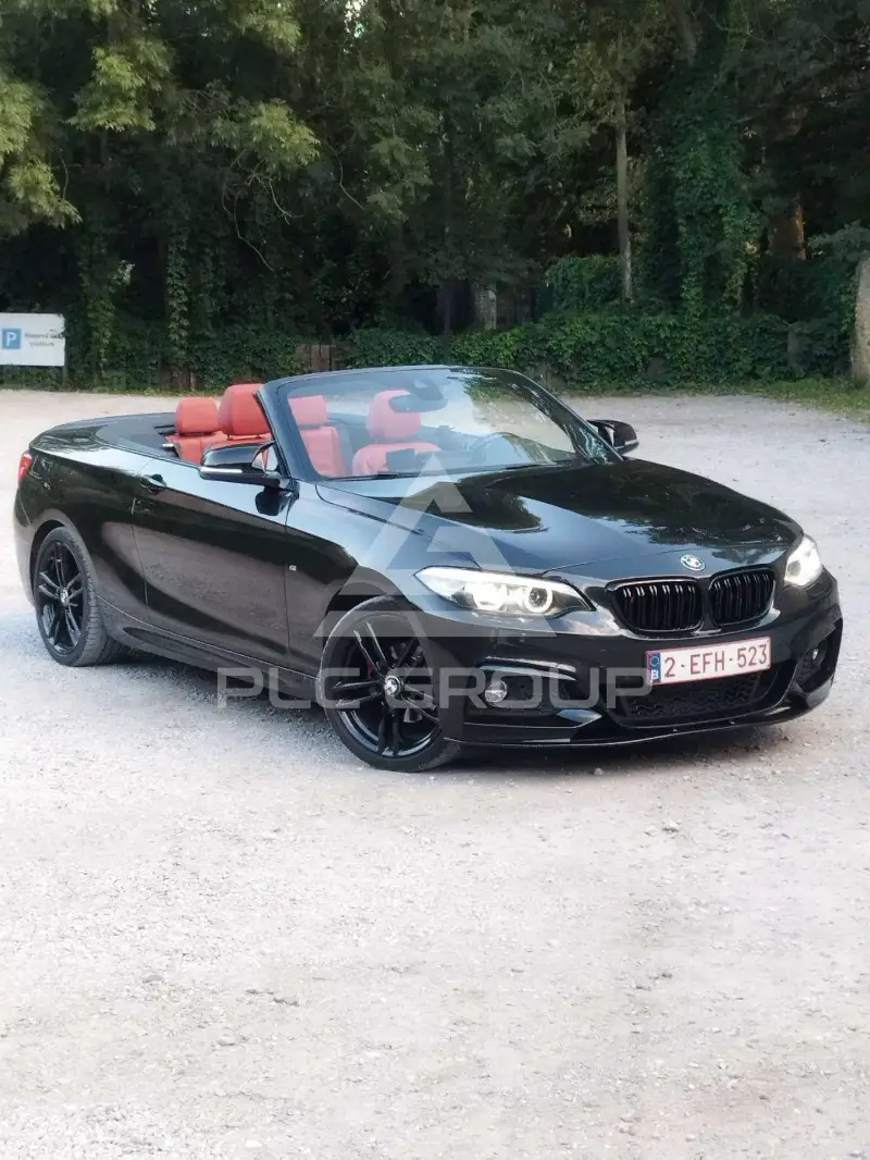 2018 BMW 218