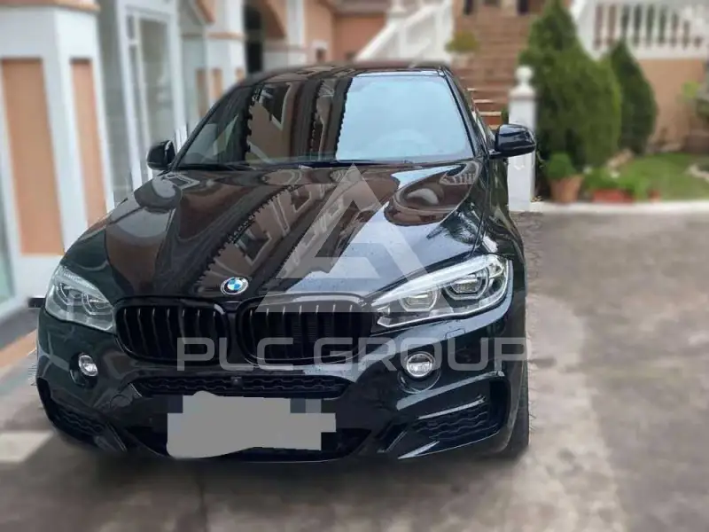 2018 BMW X6
