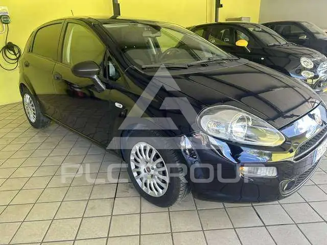 2018 Fiat Punto