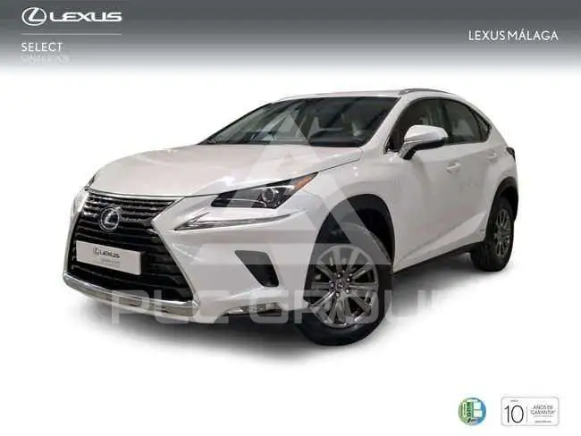 2018 Lexus NX300