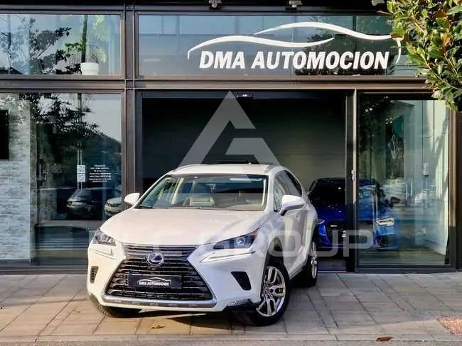 2018 Lexus NX300