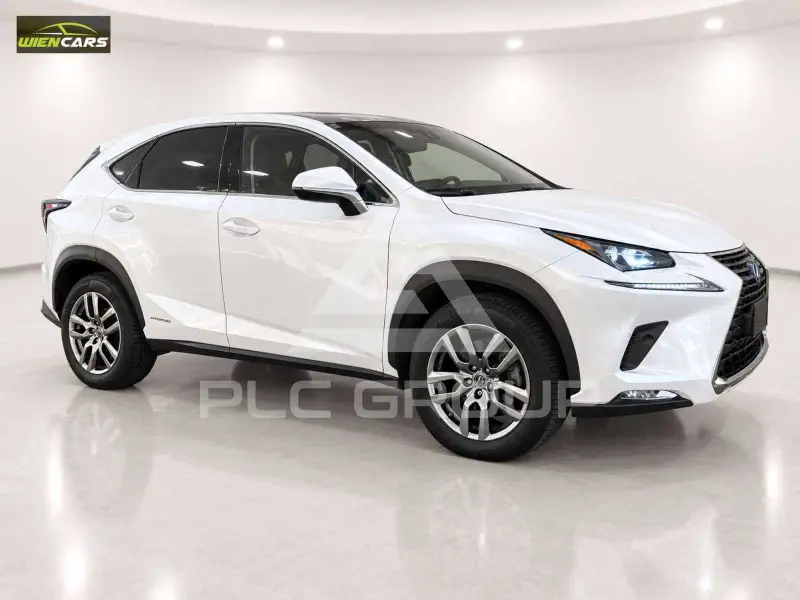 2018 Lexus NX300