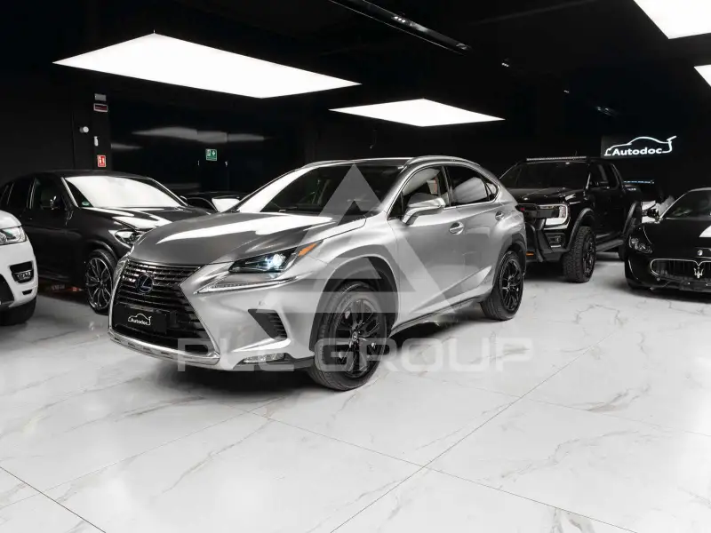 2018 Lexus NX300