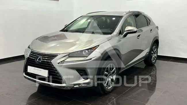 2018 Lexus NX300