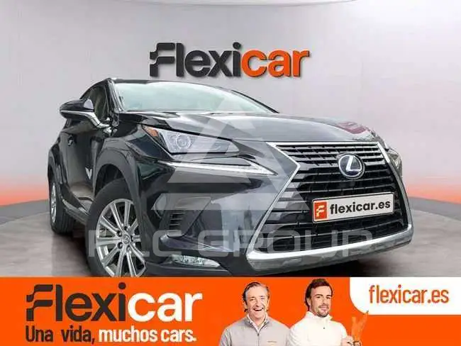 2018 Lexus NX300