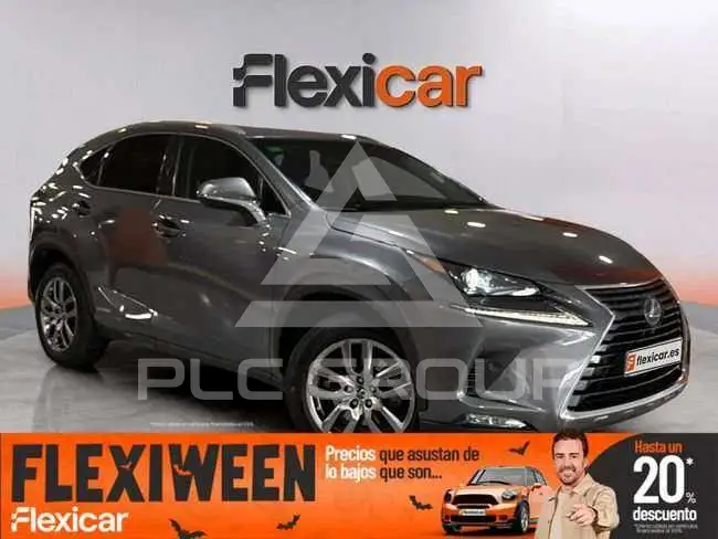 2018 Lexus NX300